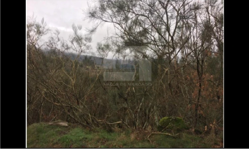 Terreno para Venda em Ovadas e Panchorra Foto 2