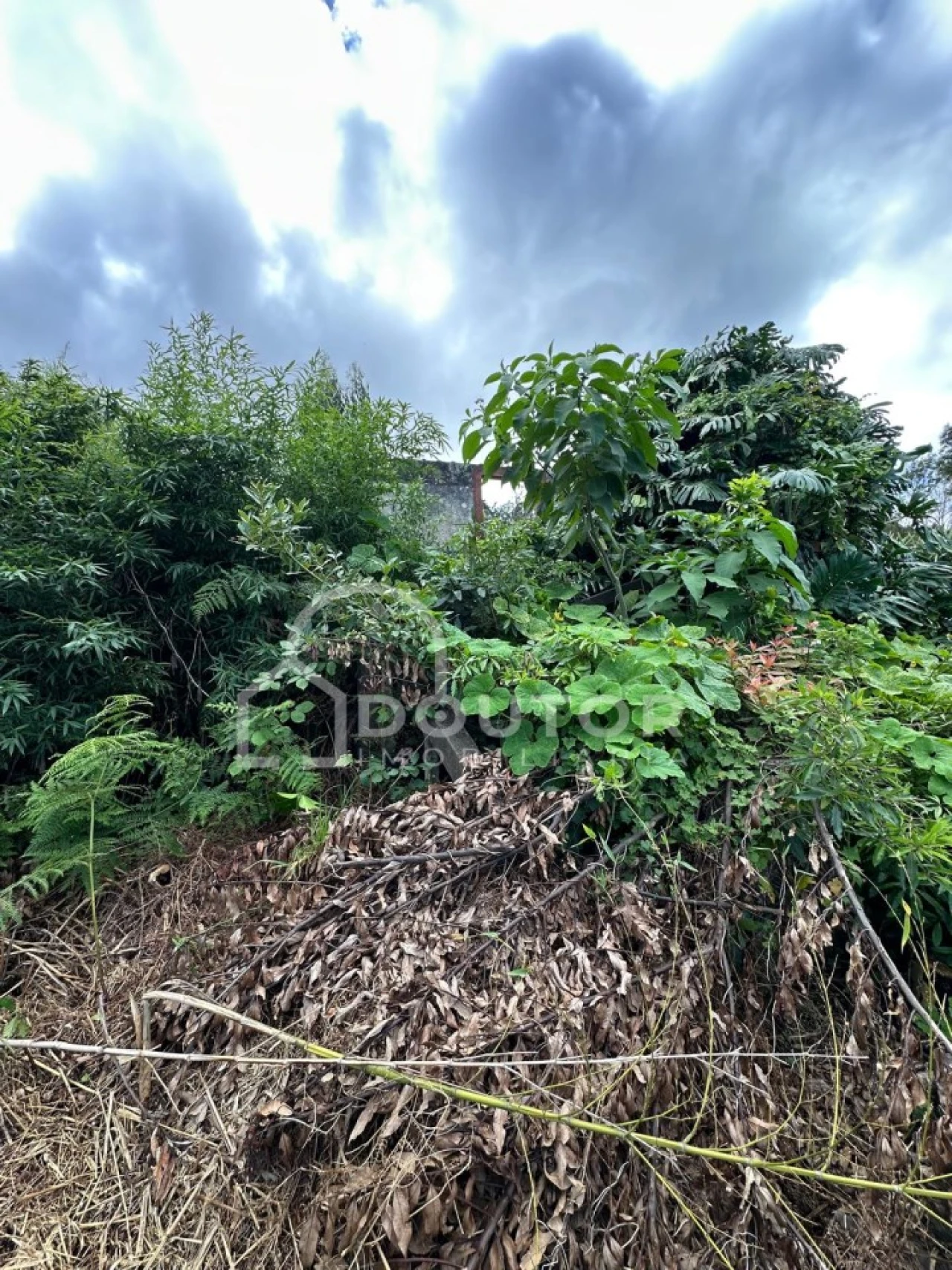 Terreno para Venda em Porto Moniz Foto 5
