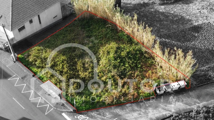 Terreno para Venda em Porto Moniz