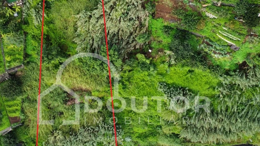 Terreno para Venda em São Roque