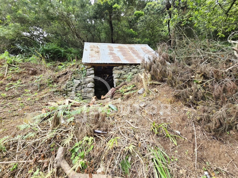 Terreno para Venda em Porto da Cruz Foto 5