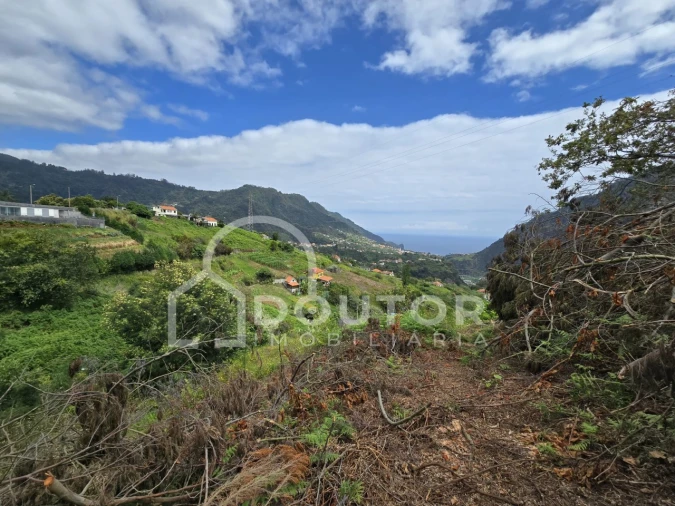 Terreno para Venda em Porto da Cruz Foto 2