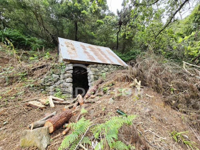 Terreno para Venda em Porto da Cruz Foto 3
