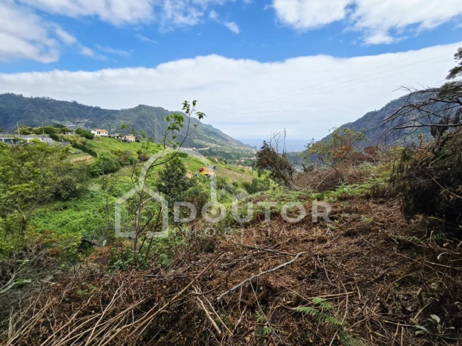 Terreno para Venda em Porto da Cruz Foto 9