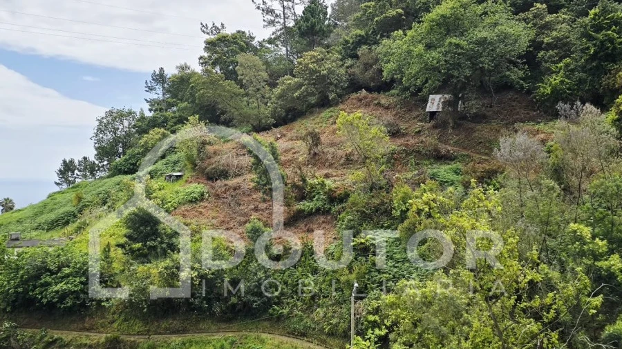 Terreno para Venda em Porto da Cruz