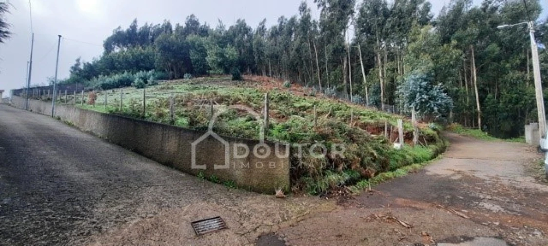 Terreno para Venda em Camacha Foto 1