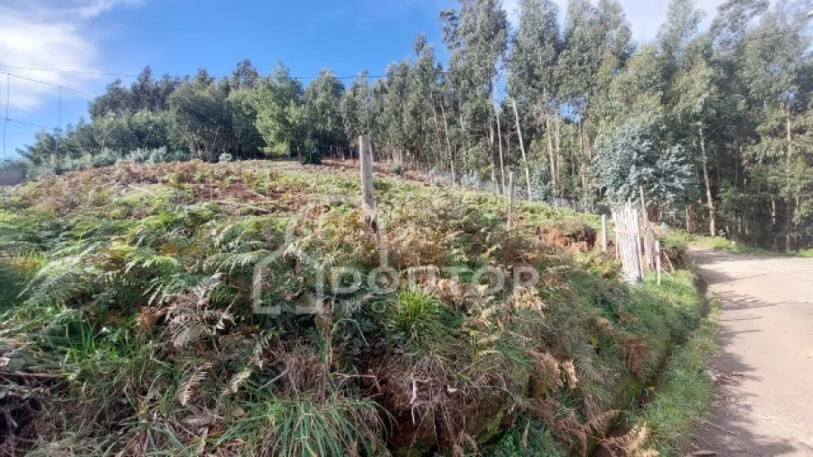 Terreno para Venda em Camacha Foto 2