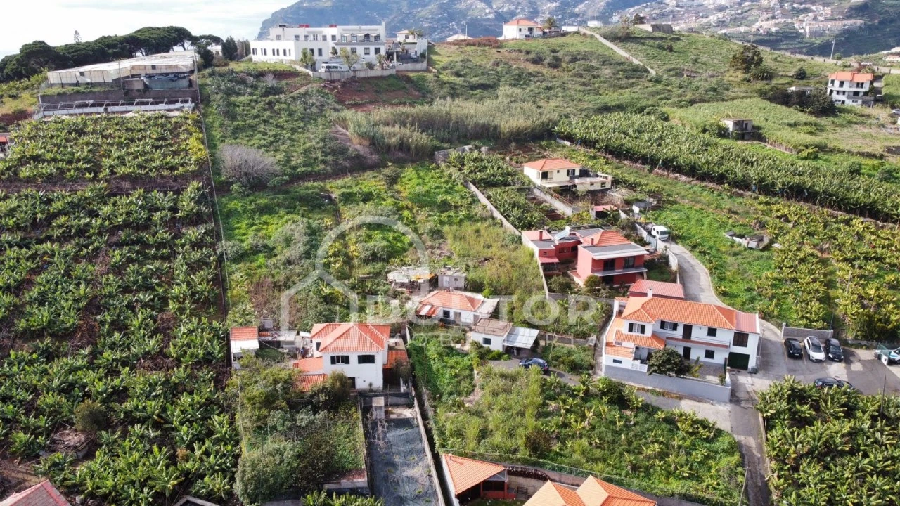 Terreno para Venda em São Martinho Foto 4