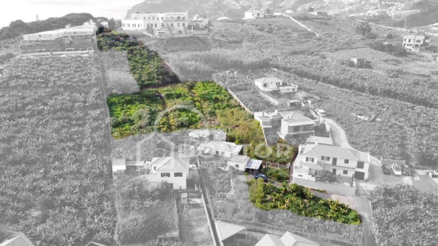 Terreno para Venda em São Martinho Foto 1