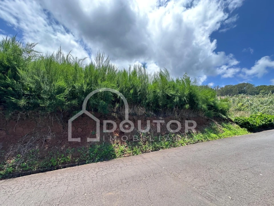 Terreno para Venda em Porto Moniz Foto 19