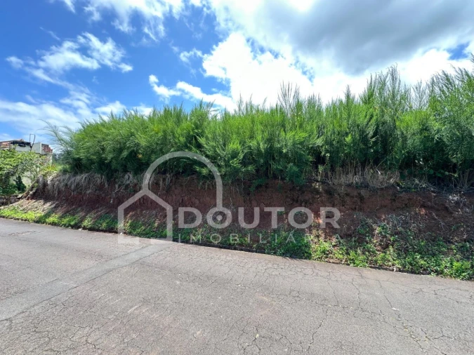 Terreno para Venda em Porto Moniz Foto 20