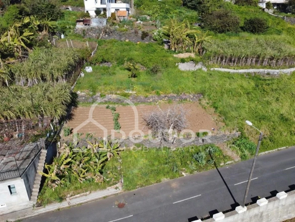 Terreno para Venda em Ribeira Brava Foto 8