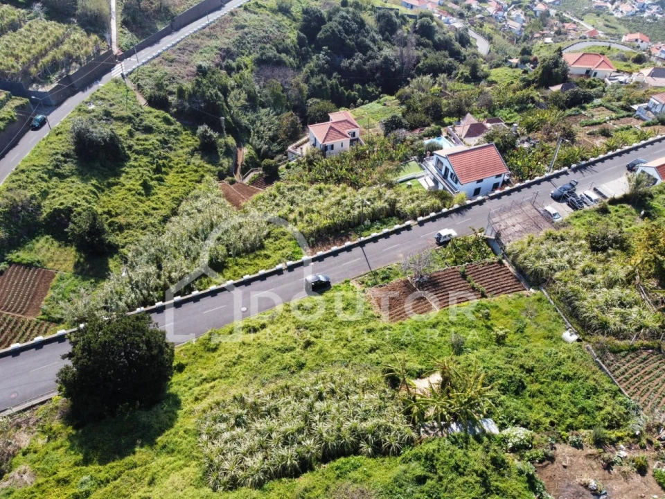 Terreno para Venda em Ribeira Brava Foto 11