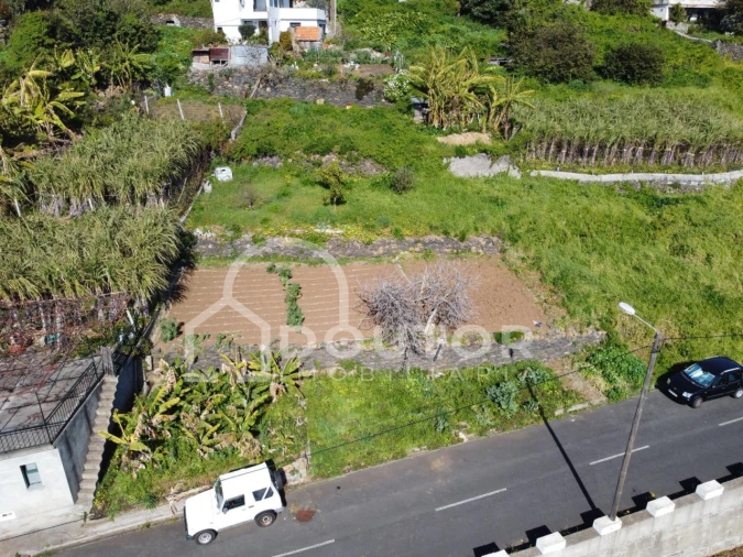 Terreno para Venda em Ribeira Brava Foto 3