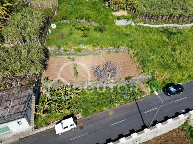 Terreno para Venda em Ribeira Brava Foto 7
