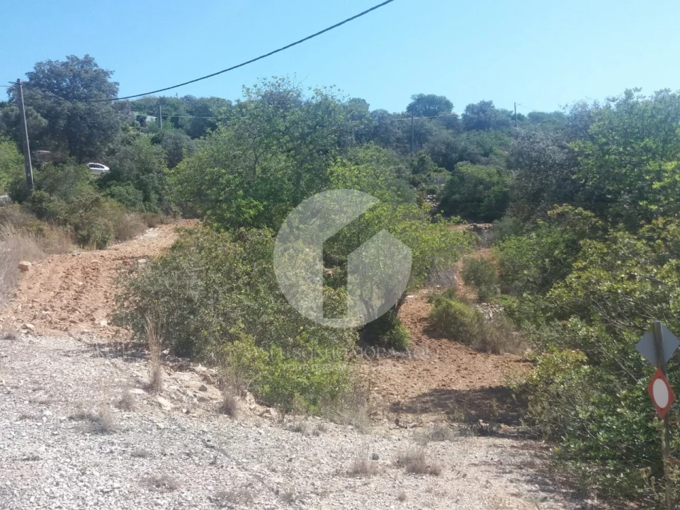 Terreno para Venda em Conceição e Estoi Foto 2