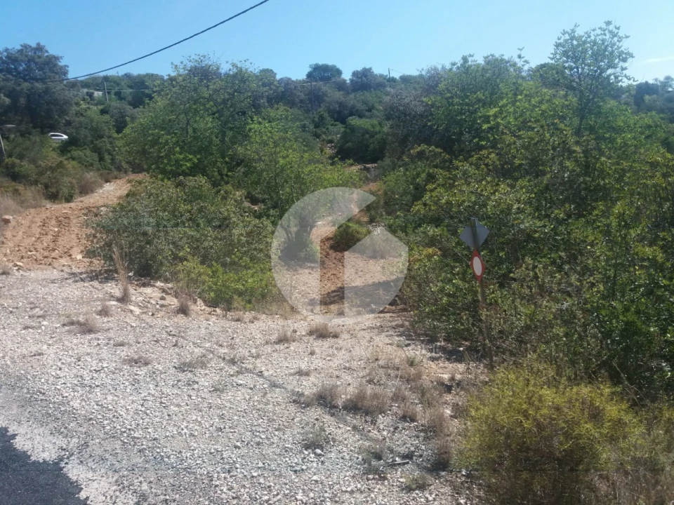 Terreno para Venda em Conceição e Estoi Foto 4
