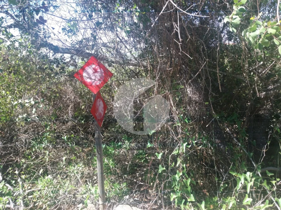Terreno para Venda em Conceição e Estoi Foto 6