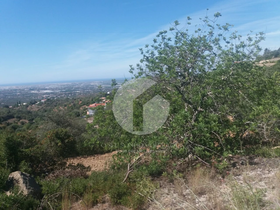 Terreno para Venda em Conceição e Estoi Foto 8
