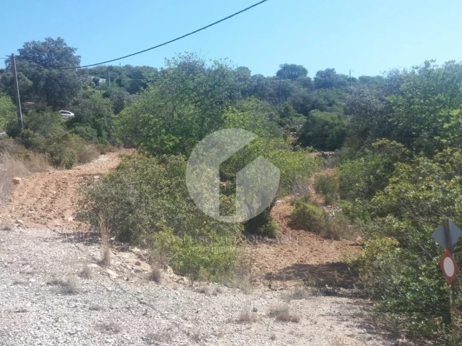 Terreno para Venda em Conceição e Estoi Foto 2