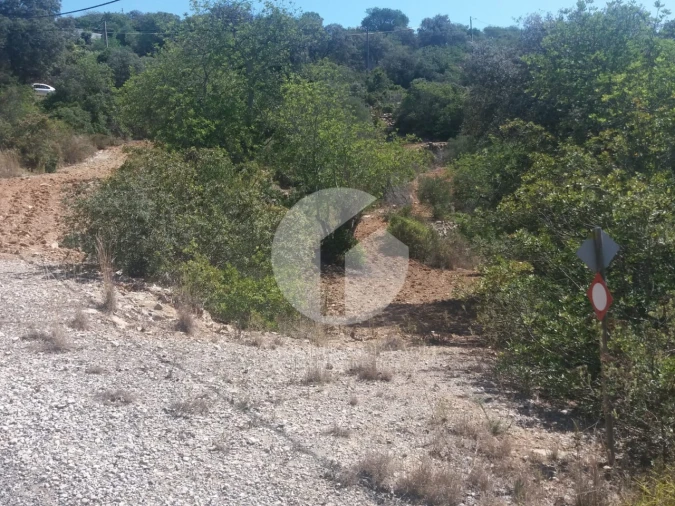 Terreno para Venda em Conceição e Estoi Foto 3