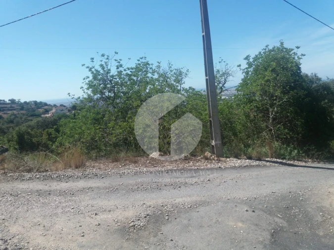 Terreno para Venda em Conceição e Estoi Foto 5