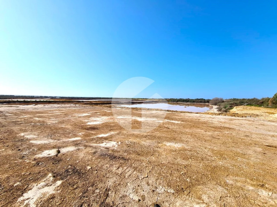 Terreno para Venda em Olhão Foto 5