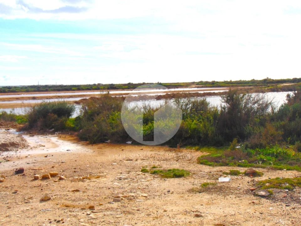 Terreno para Venda em Olhão Foto 10