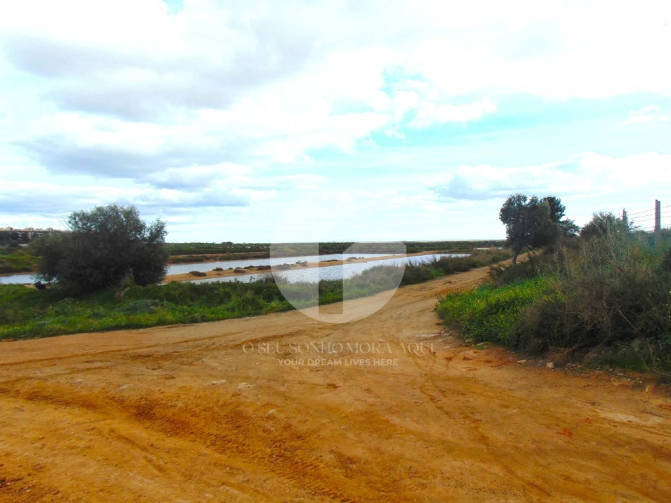 Terreno para Venda em Olhão Foto 21