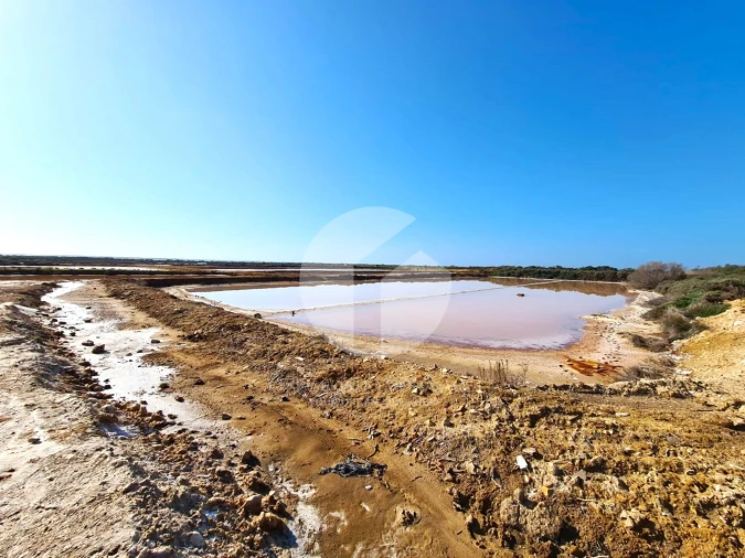 Terreno para Venda em Olhão Foto 7
