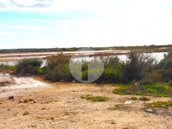 Terreno para Venda em Olhão Foto 10
