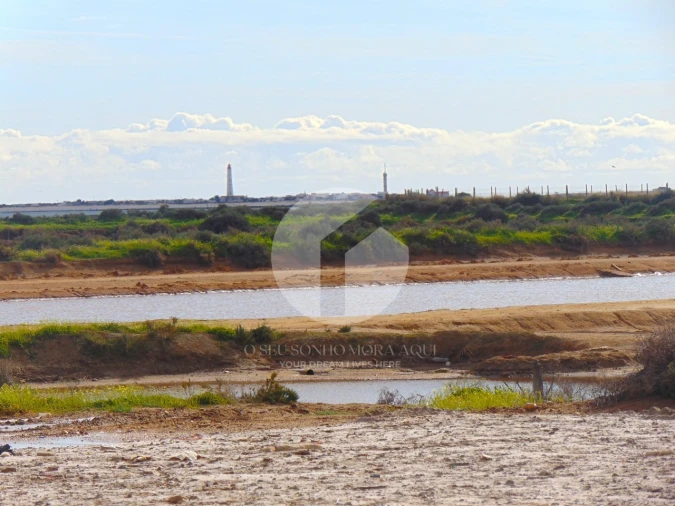 Terreno para Venda em Olhão Foto 13
