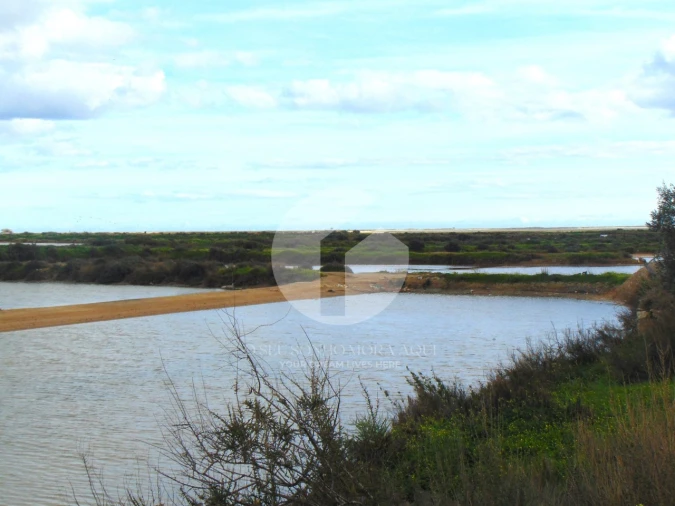 Terreno para Venda em Olhão Foto 17