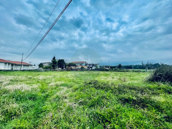 Terreno para Venda em Areias de Vilar e Encourados Foto 10