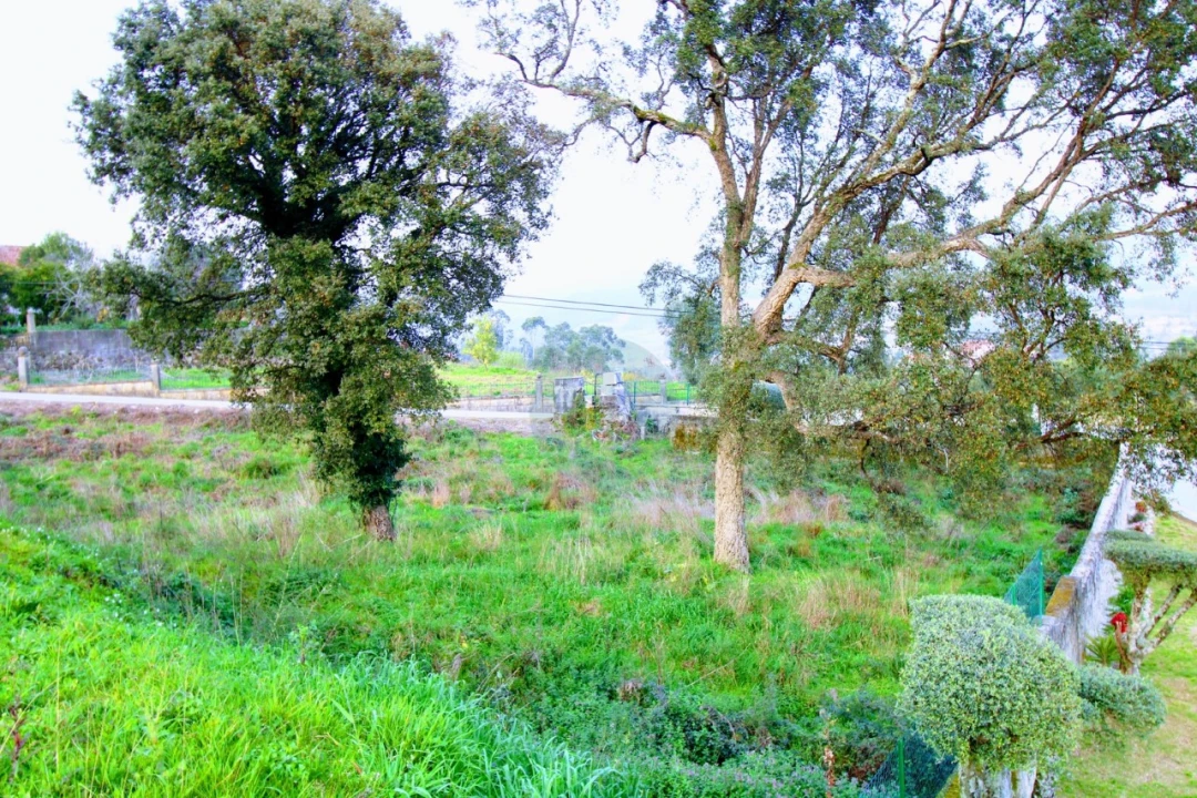Terreno para Venda em Arcozelo Foto 6