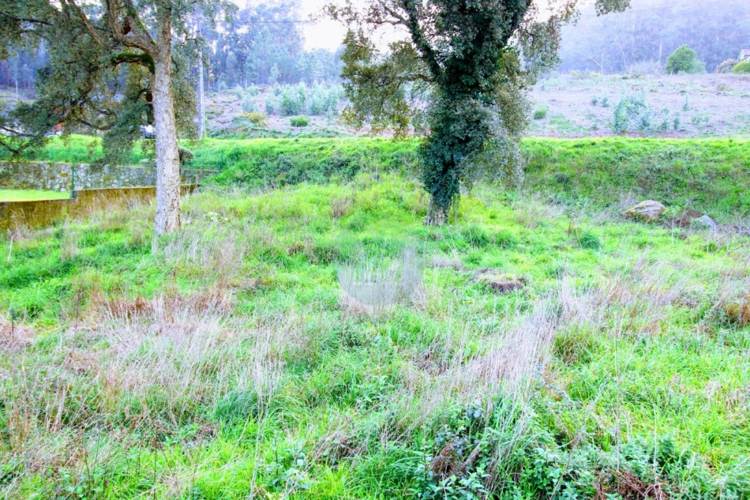 Terreno para Venda em Arcozelo Foto 9
