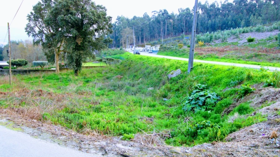 Terreno para Venda em Arcozelo