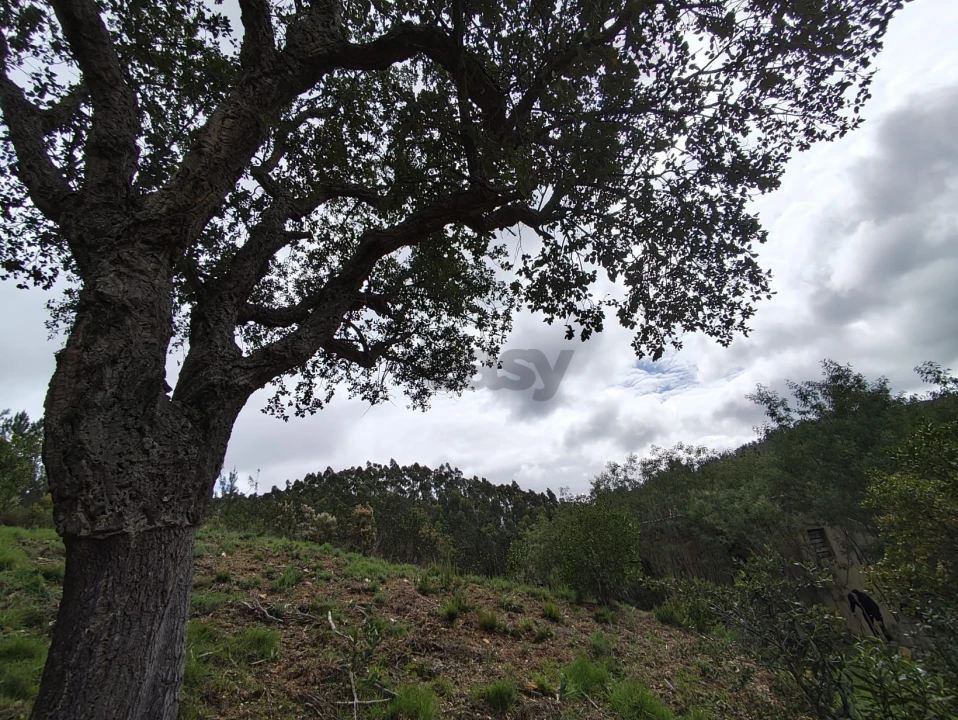 Terreno Agricola ou Rústico para Venda em Marmelete Foto 5