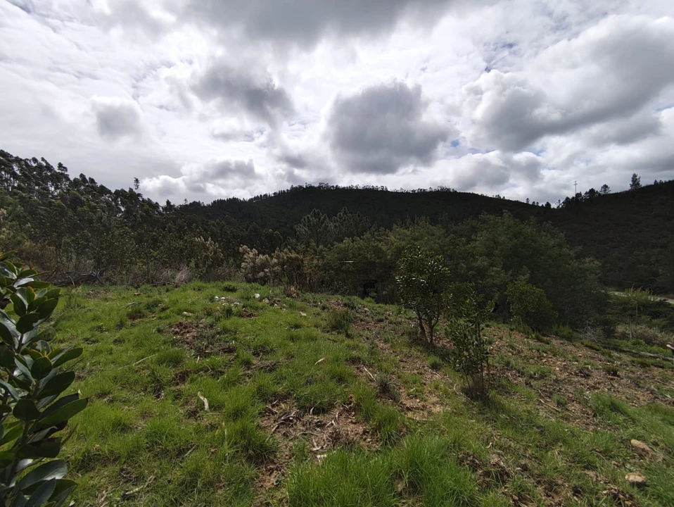 Terreno Agricola ou Rústico para Venda em Marmelete Foto 9