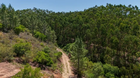 Terreno Misto para Venda em Marmelete