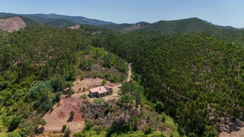 Terreno Misto para Venda em Marmelete