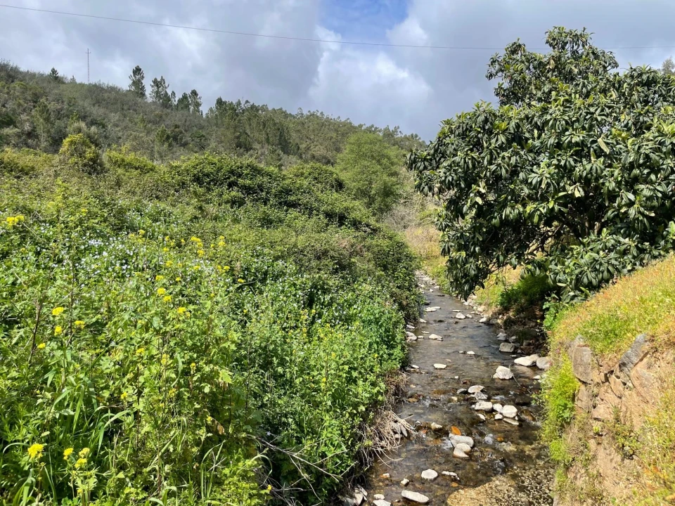 Terreno Agricola ou Rústico para Venda em Marmelete Foto 6