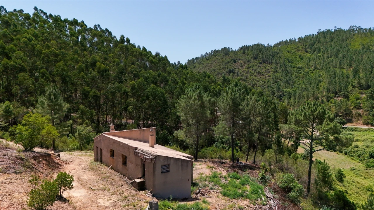 Terreno Misto para Venda em Marmelete Foto 12