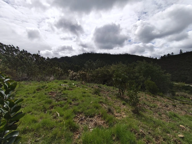 Terreno Agricola ou Rústico para Venda em Marmelete Foto 9
