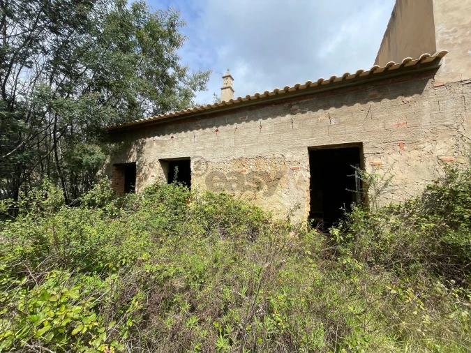 Terreno Agricola ou Rústico para Venda em Marmelete Foto 2