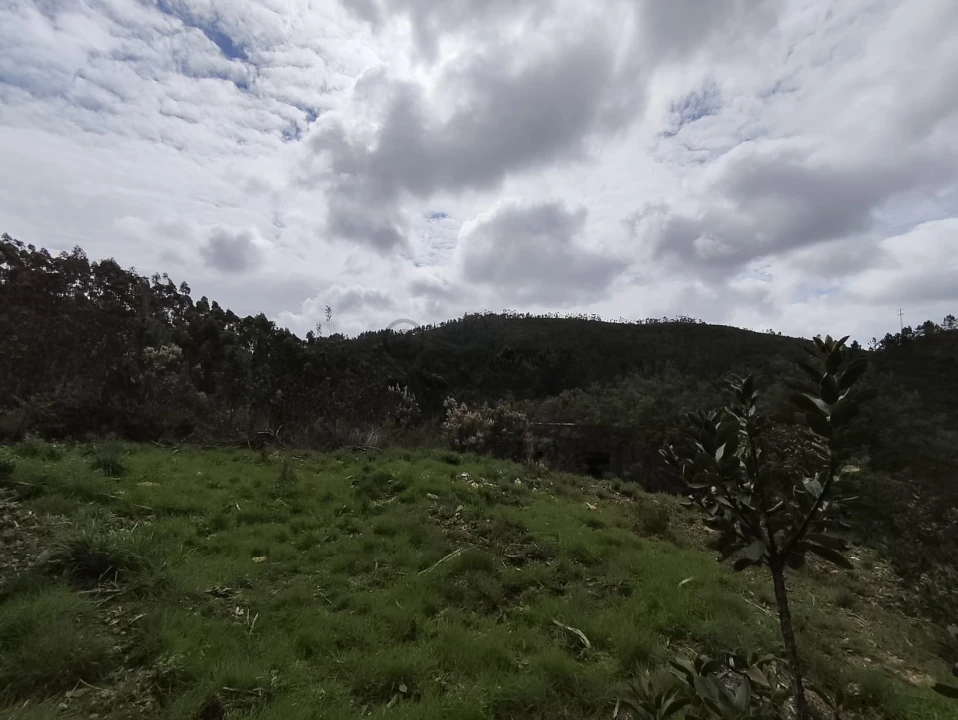 Terreno Agricola ou Rústico para Venda em Marmelete Foto 8