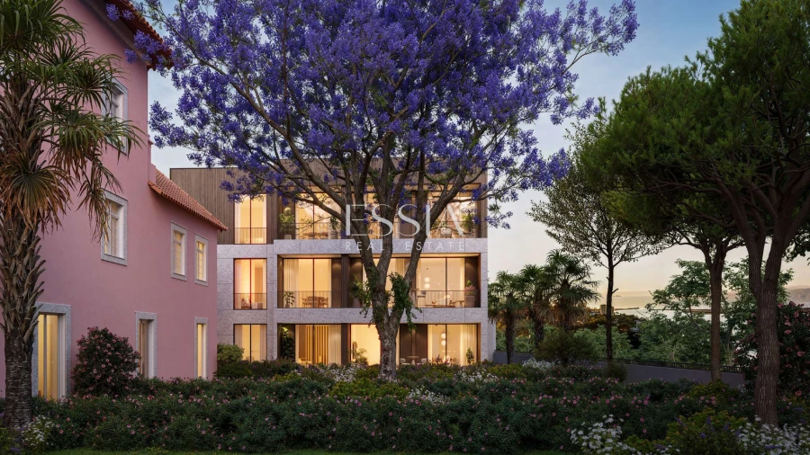 Apartamento T1 para Venda em Lordelo do Ouro e Massarelos Foto 6