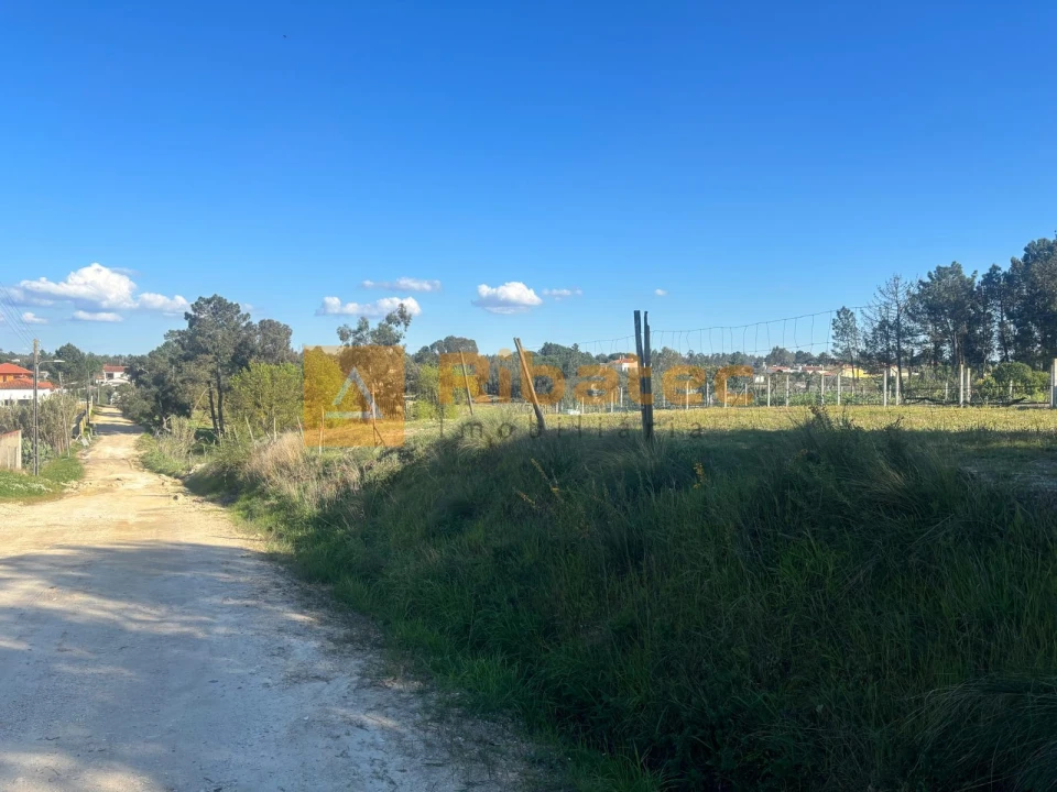 Terreno para Venda em Marinhais Foto 3