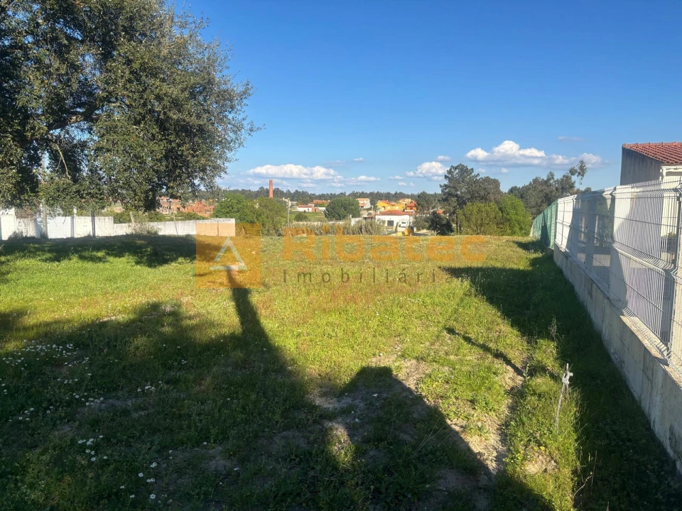 Terreno para Venda em Marinhais Foto 5