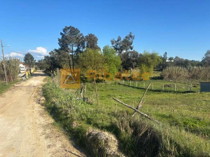 Terreno para Venda em Marinhais Foto 2
